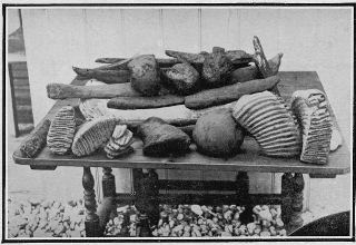 The remains of a Mammoth found on the beach at Selsey Bill