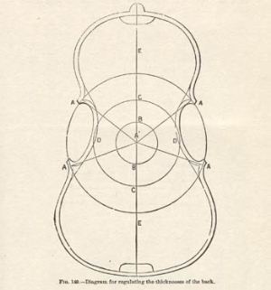 Diagram from 'Violin-Making, as it was and is'